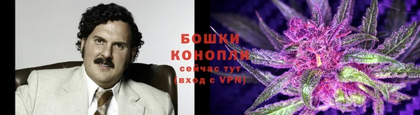 мдпв Покров